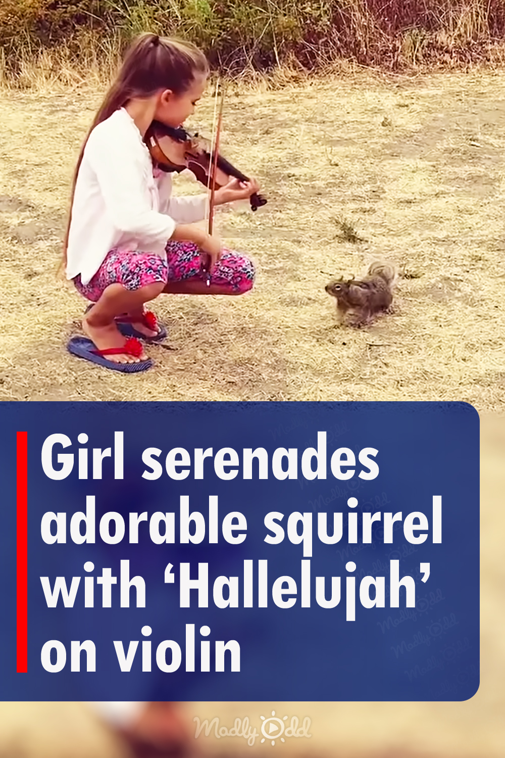 Girl serenades adorable squirrel with \'Hallelujah\' on violin