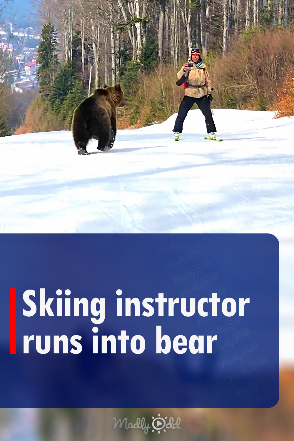 Skiing instructor runs into bear