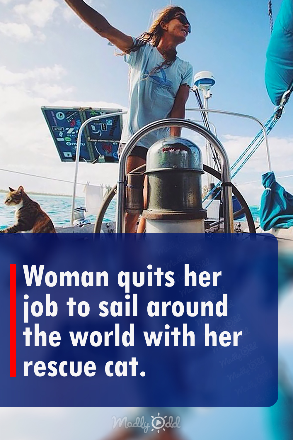 Woman quits her job to sail around the world with her rescue cat.