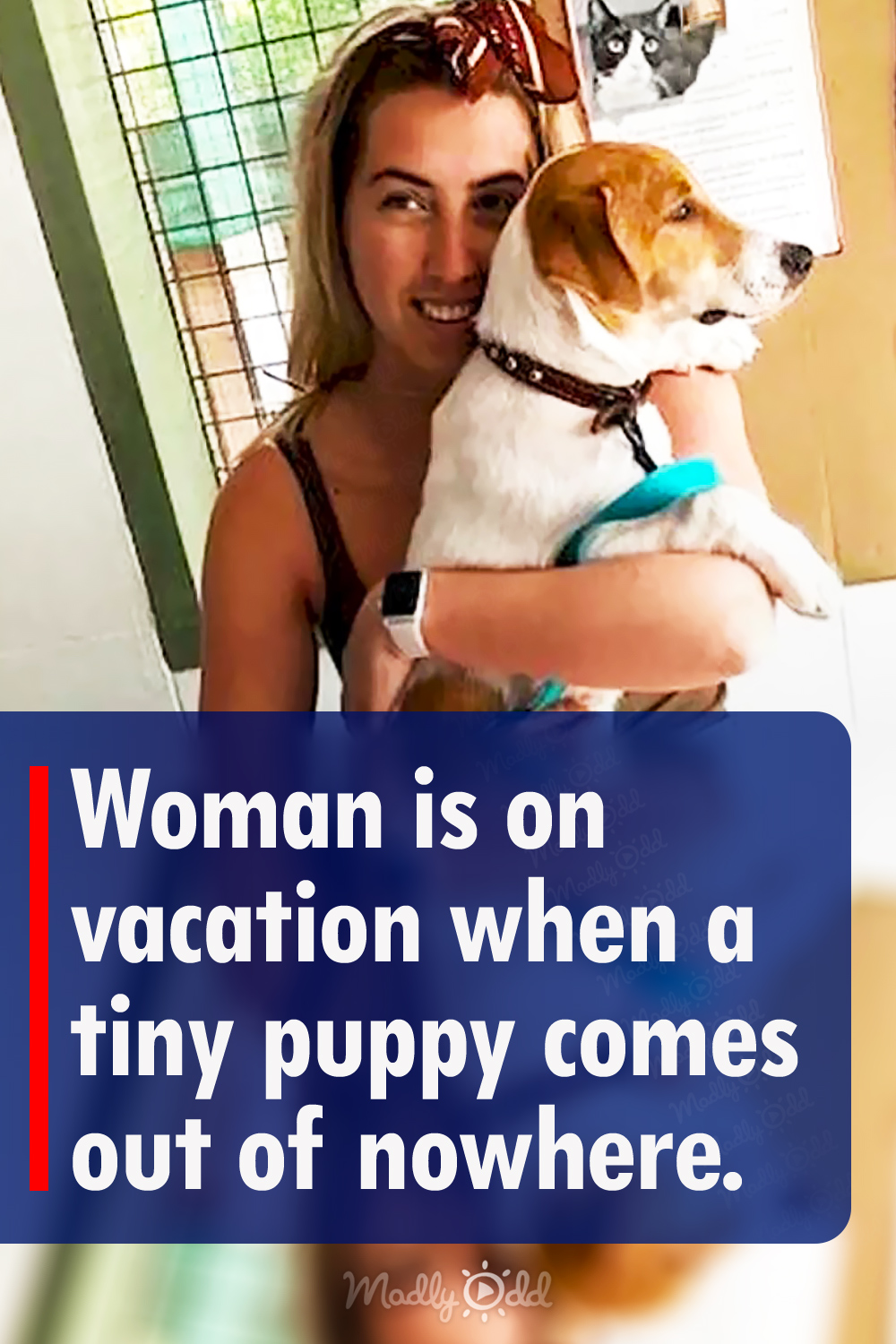 Woman is on vacation when a tiny puppy comes out of nowhere.