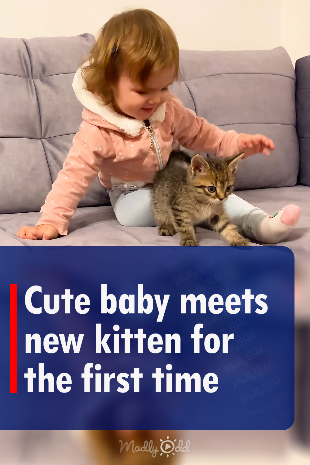 Cute baby meets new kitten for the first time