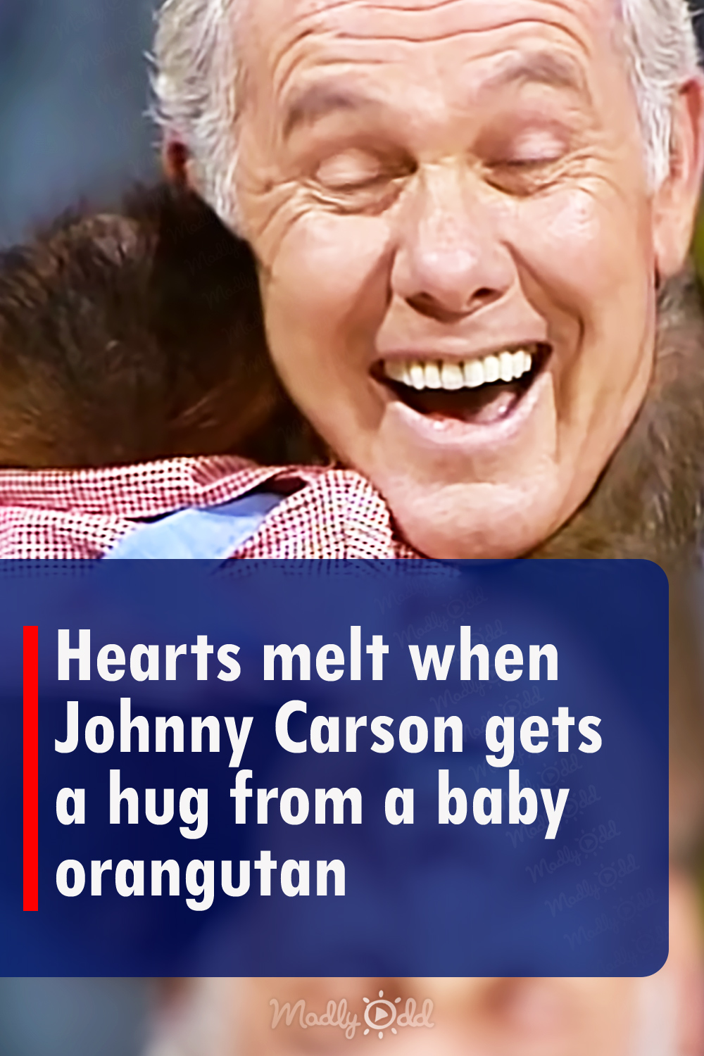 Hearts melt when Johnny Carson gets a hug from a baby orangutan