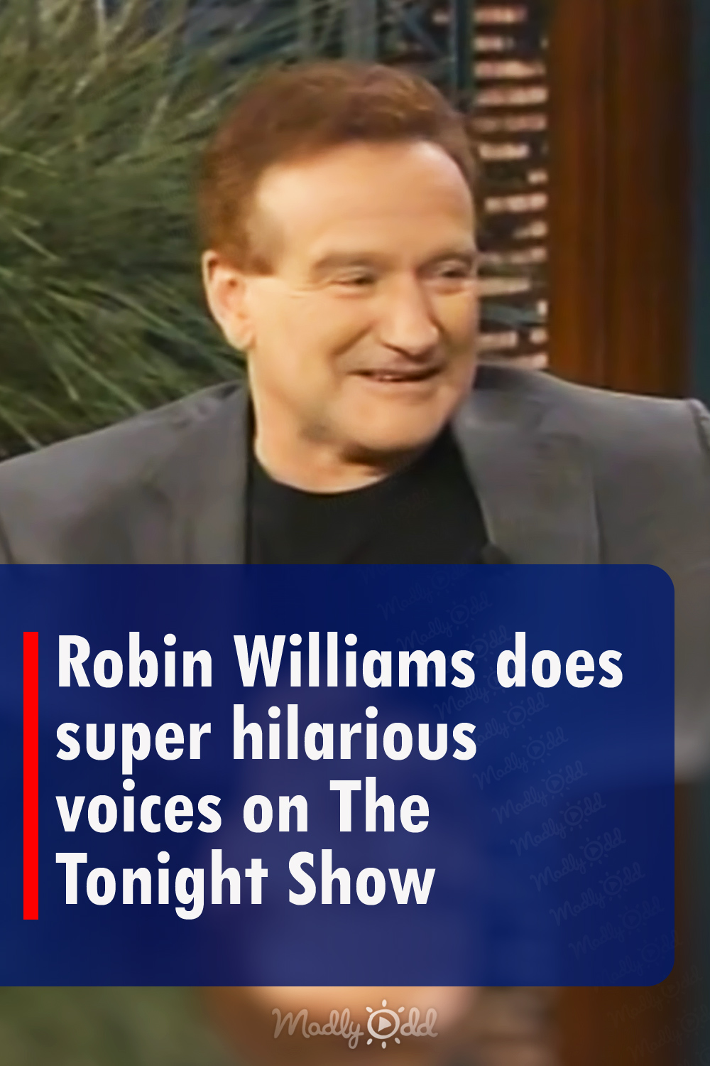 Robin Williams does super hilarious voices on The Tonight Show