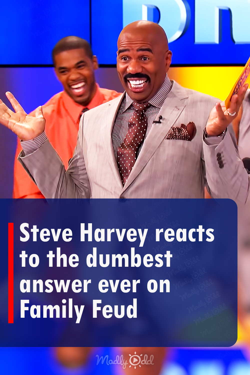 Steve Harvey reacts to the dumbest answer ever on Family Feud