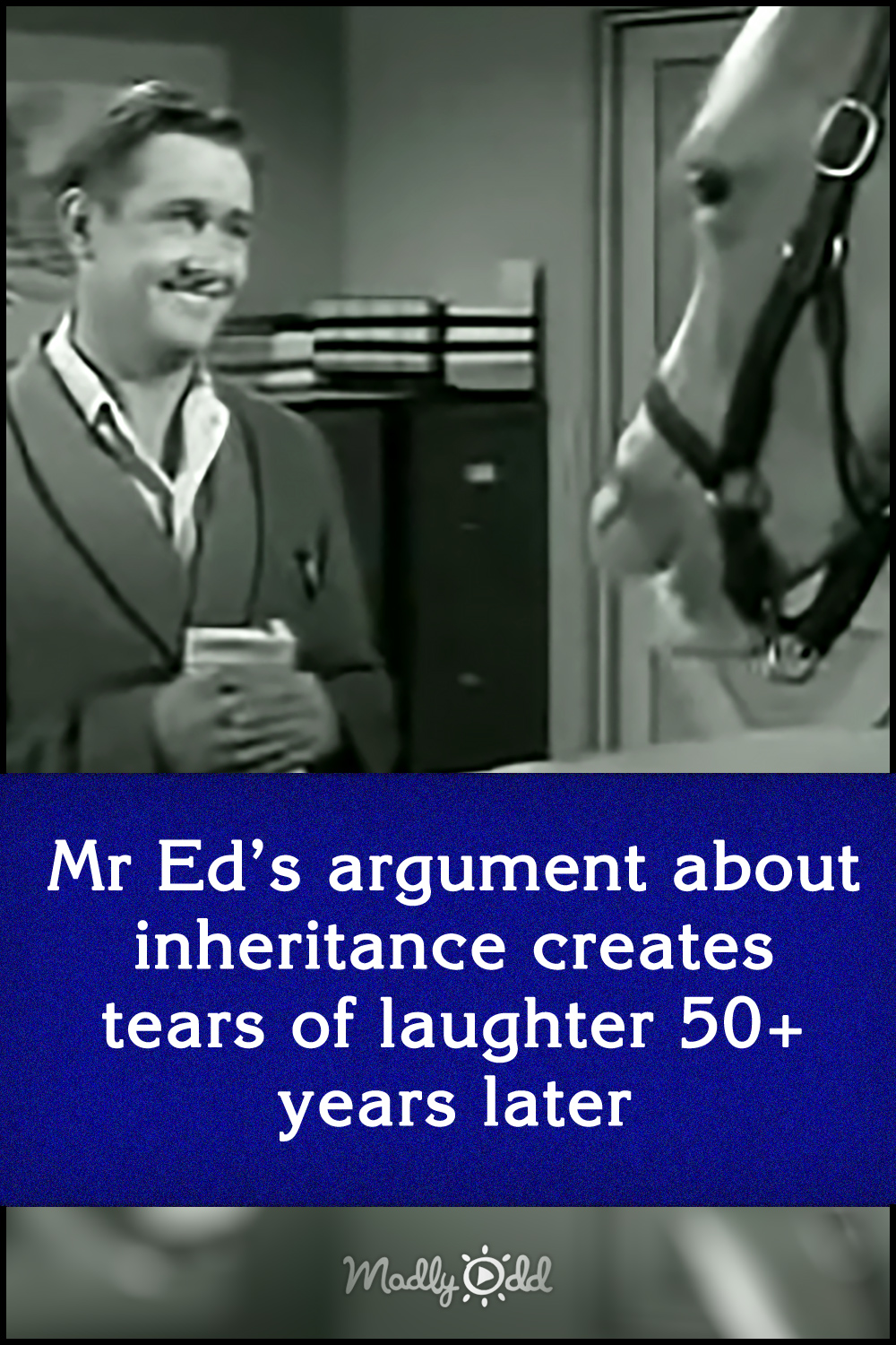 Mr Ed’s argument about inheritance creates tears of laughter 50+ years later