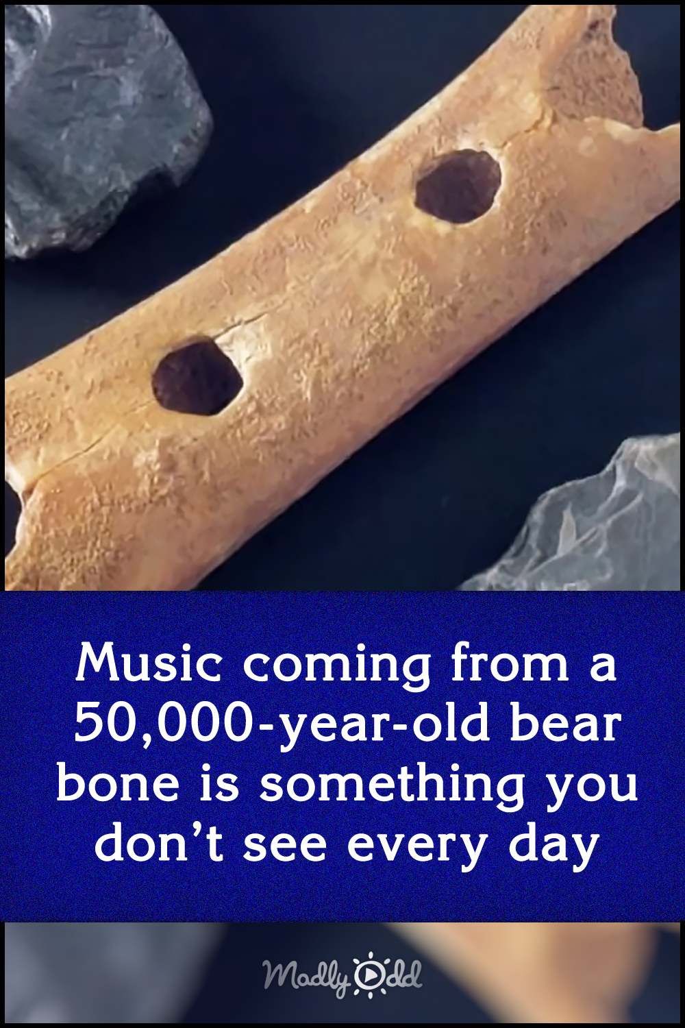 Music coming from a 50,000-year-old bear bone is something you don’t see every day