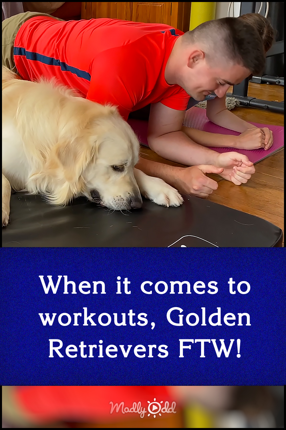 When it comes to workouts, Golden Retrievers FTW!