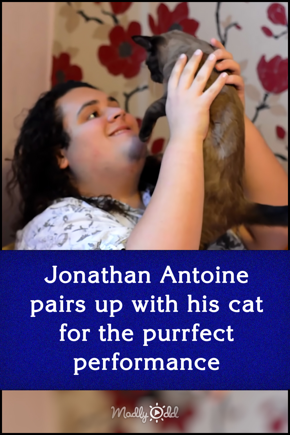Jonathan Antoine pairs up with his cat for the purrfect performance