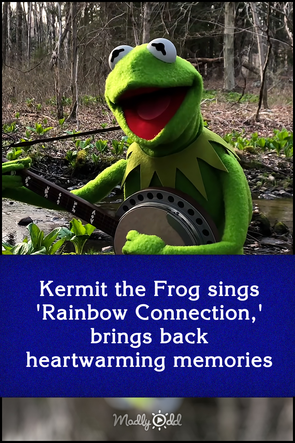 Kermit the Frog sings \'Rainbow Connection,\' brings back heartwarming memories