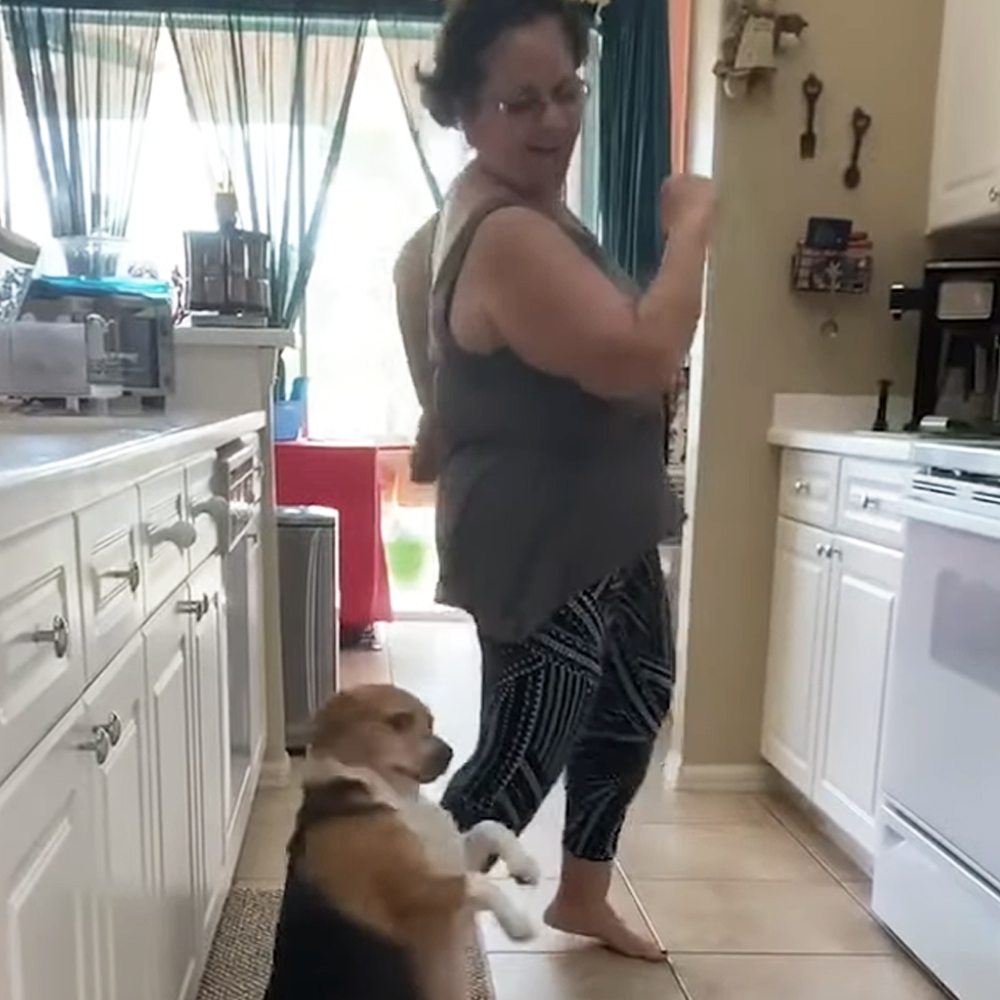 Beagle dancing with grandma