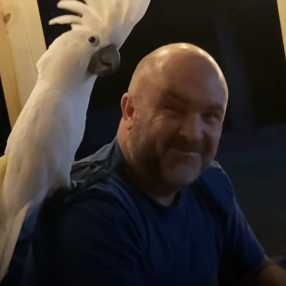 Cockatoo with dad