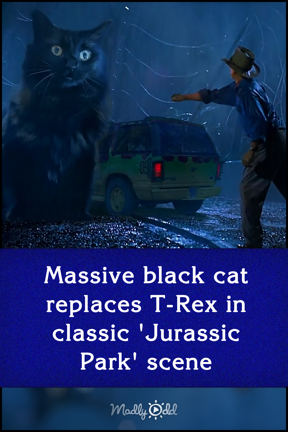 Massive black cat replaces T-Rex in classic \'Jurassic Park\' scene