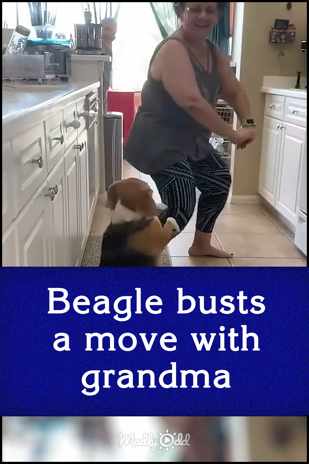 Beagle busts a move with grandma