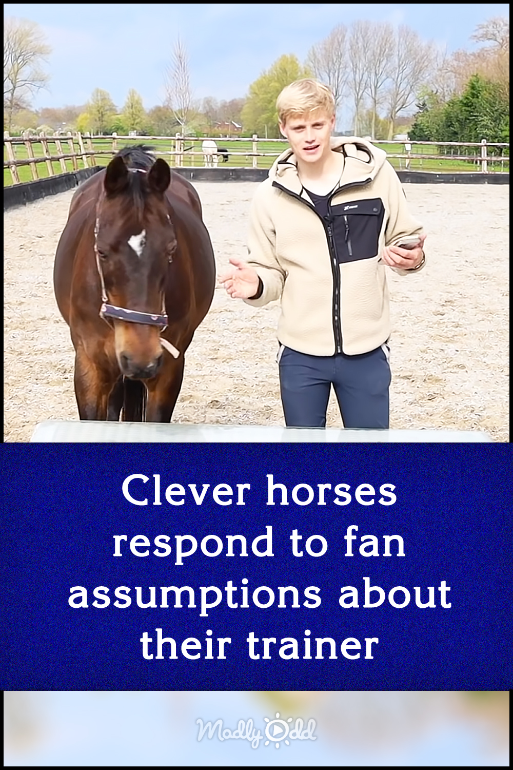 Clever horses respond to fan assumptions about their trainer