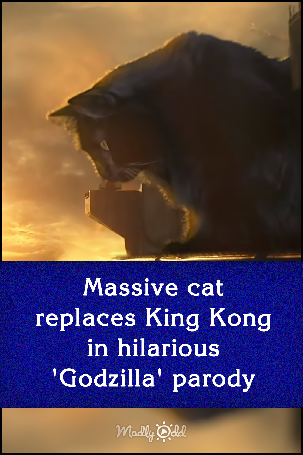 Massive cat replaces King Kong in hilarious \'Godzilla\' parody