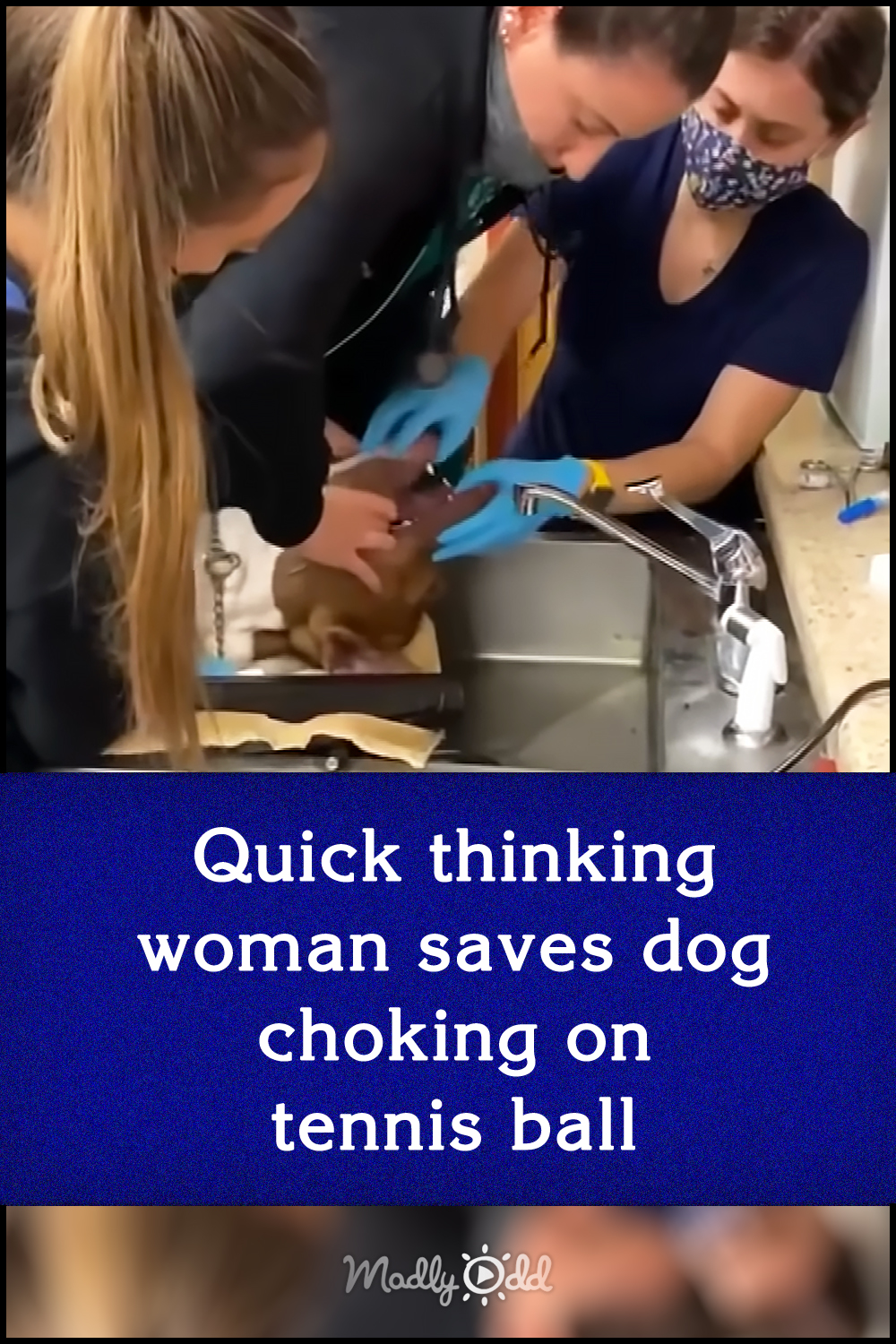 Quick thinking woman saves dog choking on tennis ball