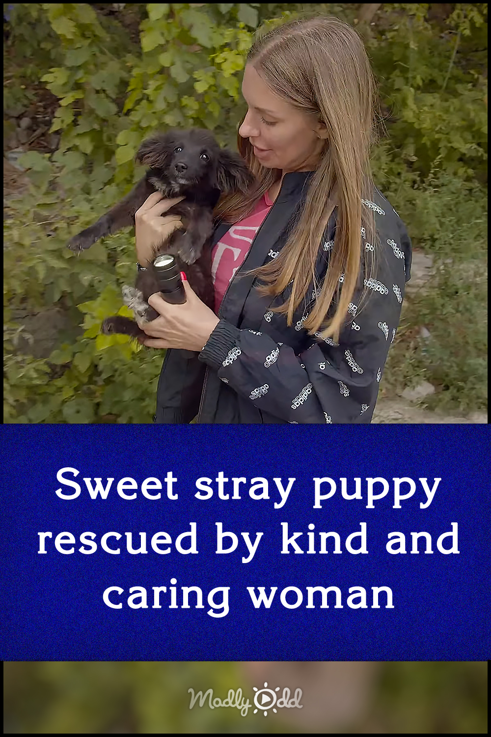 Sweet stray puppy rescued by kind and caring woman