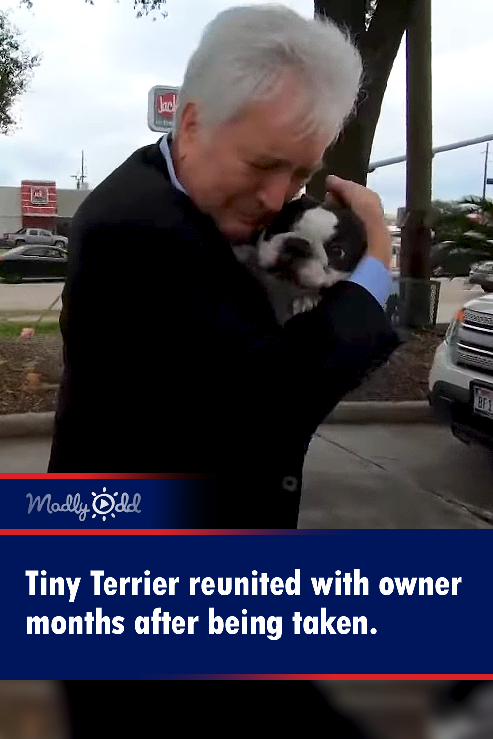 Tiny Terrier reunited with owner months after being taken