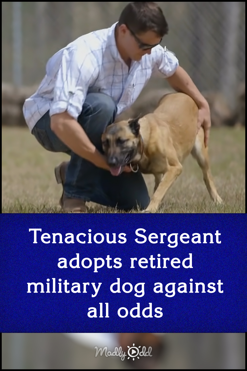 Tenacious Sergeant adopts retired military dog against all odds