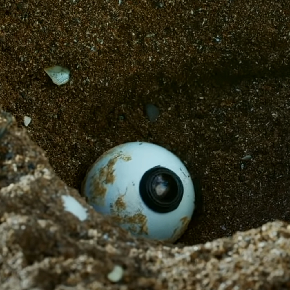 Robot spy turtle's egg