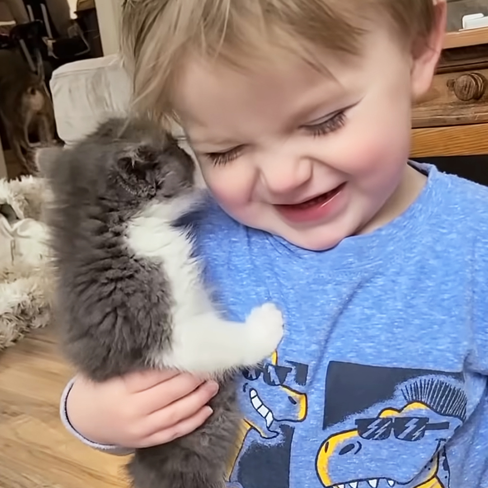 Kitten and toddler