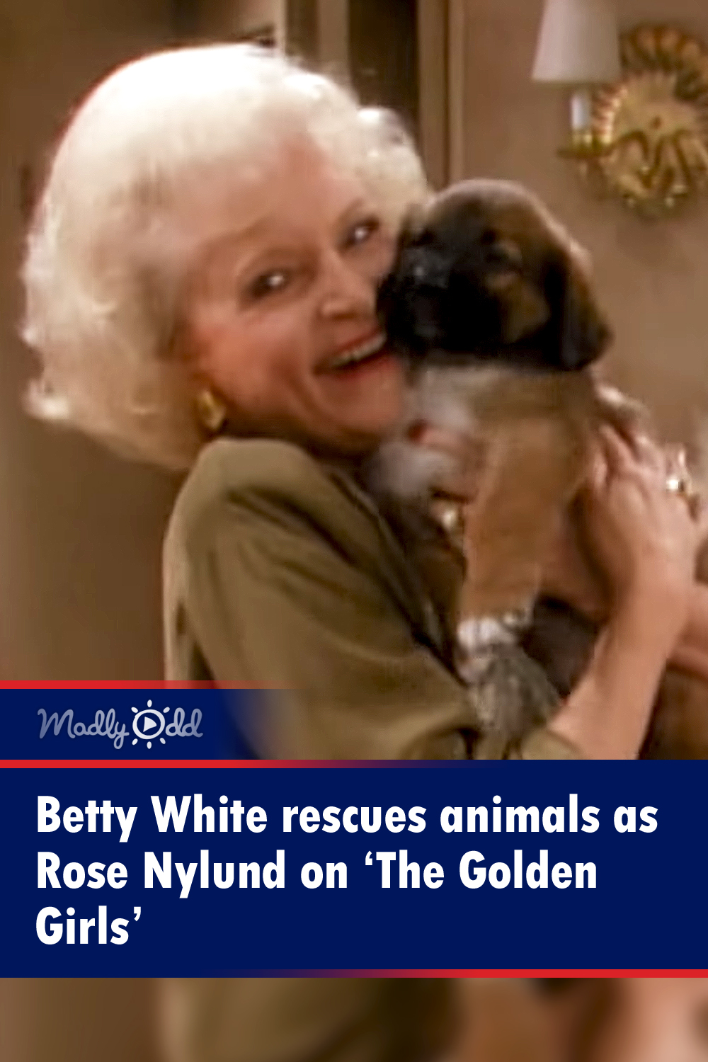 Betty White rescues animals as Rose Nylund on ‘The Golden Girls’