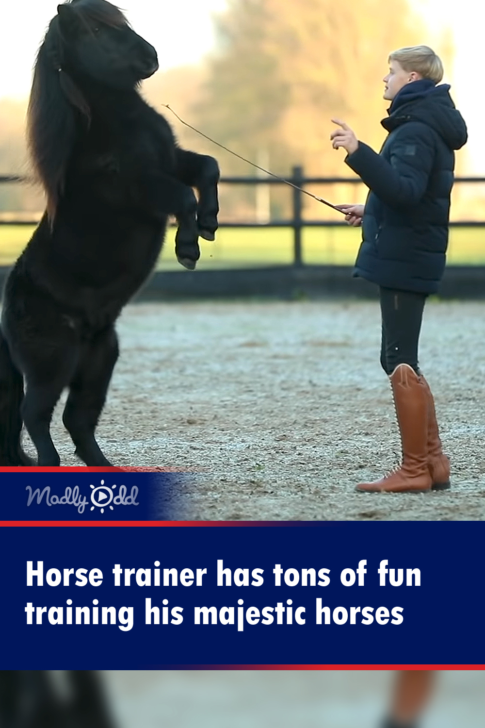 Horse trainer has tons of fun training his majestic horses