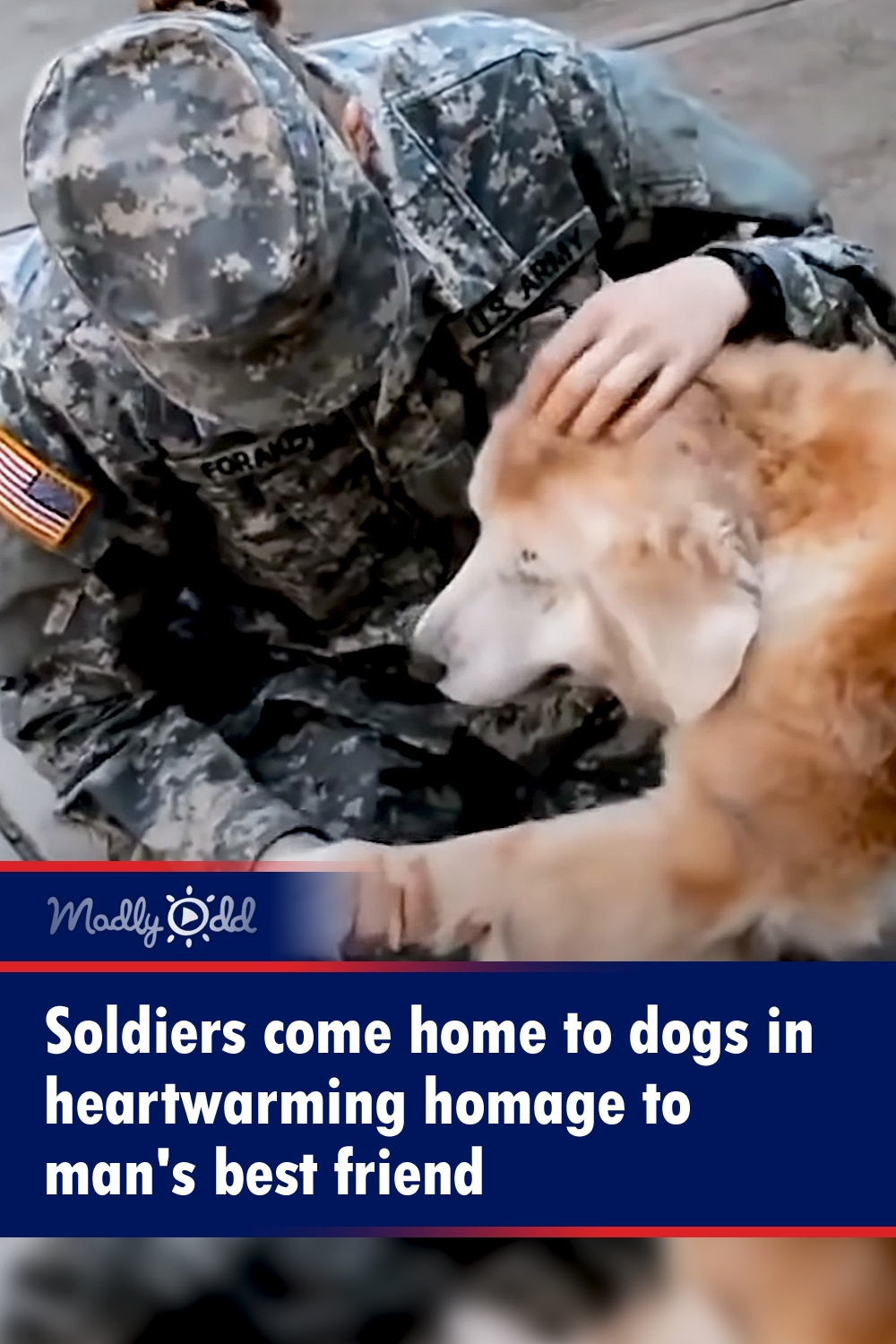 Soldiers come home to dogs in heartwarming homage to man\'s best friend