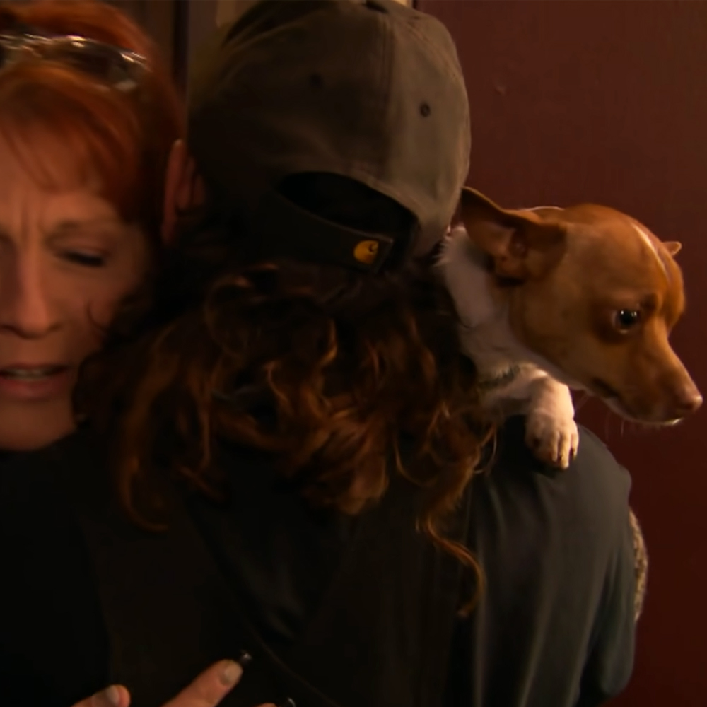 Chihuahua reunited with owner