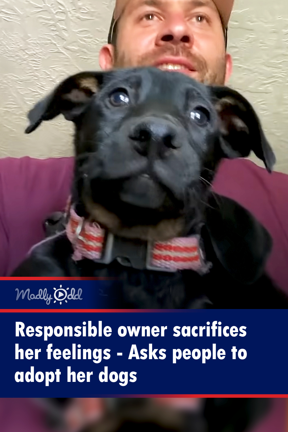 Responsible owner sacrifices her feelings - Asks people to adopt her dogs