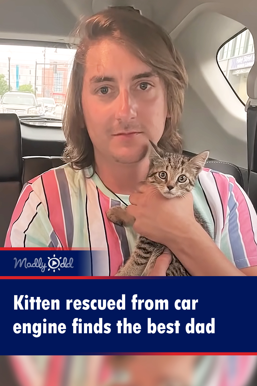 Kitten rescued from car engine finds the best dad