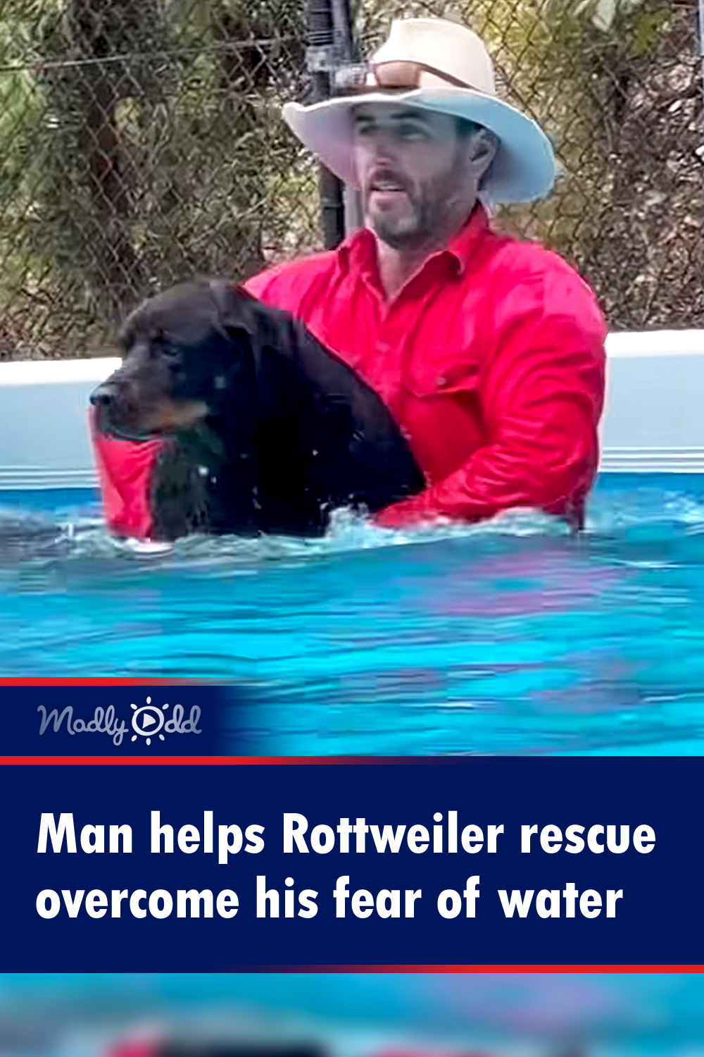 Man helps Rottweiler rescue overcome his fear of water