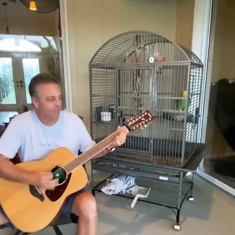 Talented parrot singing