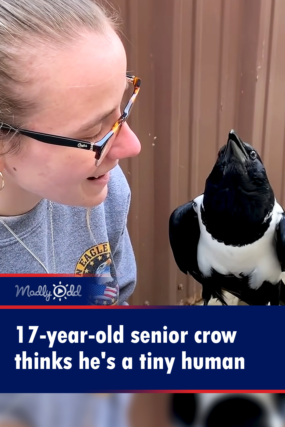 17-year-old senior crow thinks he\'s a tiny human
