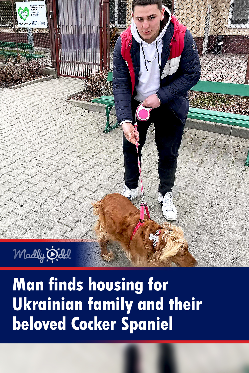 Man finds housing for Ukrainian family and their beloved Cocker Spaniel