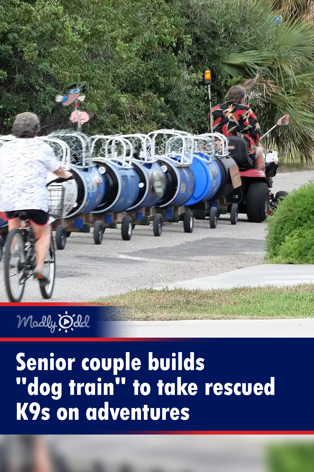 Senior couple builds \