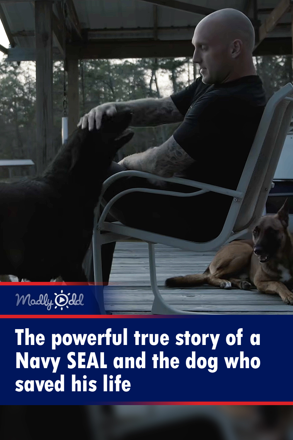 The powerful true story of a Navy SEAL and the dog who saved his life