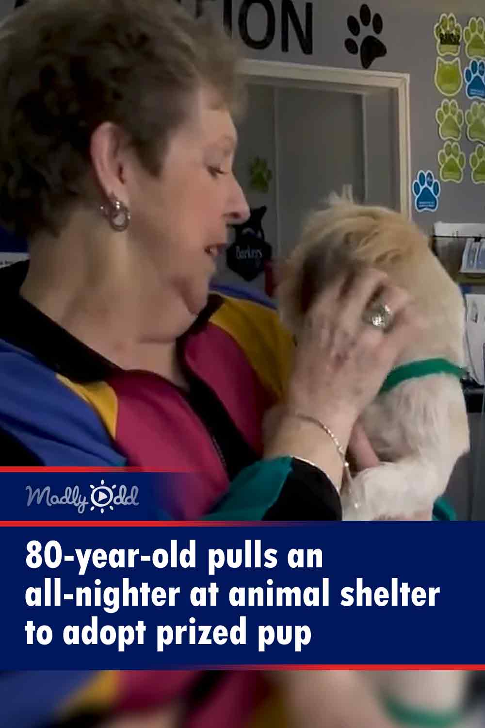 80-year-old pulls an all-nighter at animal shelter to adopt prized pup