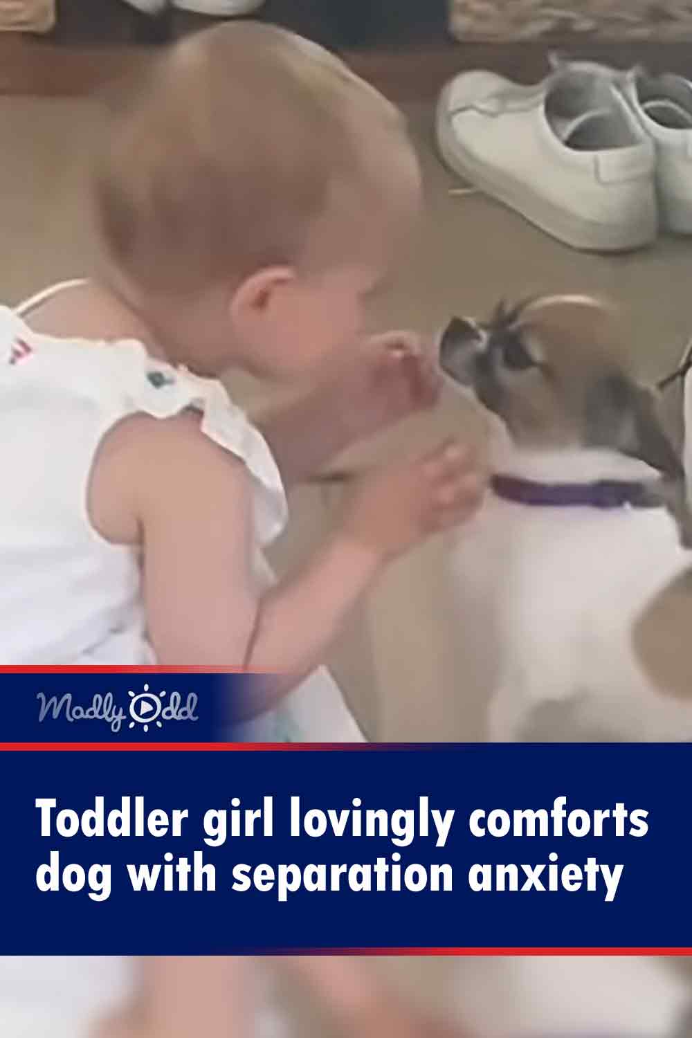 Toddler girl lovingly comforts dog with separation anxiety