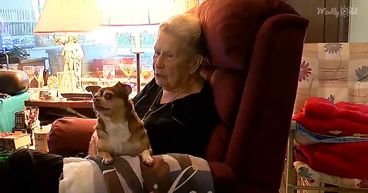 92-year-old Mary Alexander and rescued Chihuahua