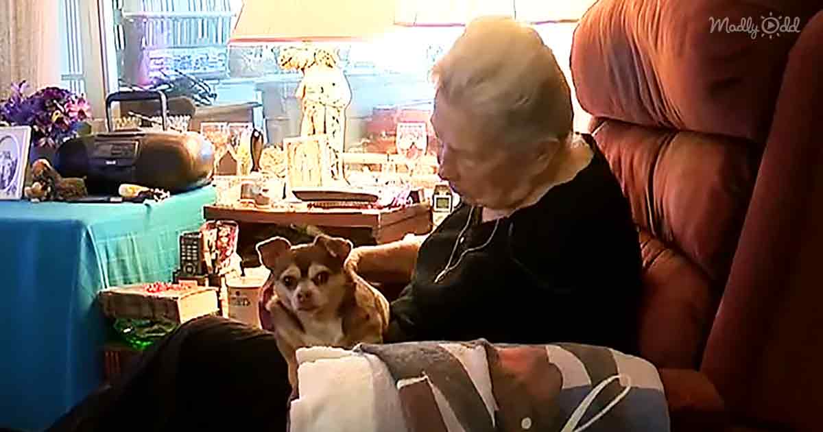 92-year-old Mary Alexander and rescued Chihuahua