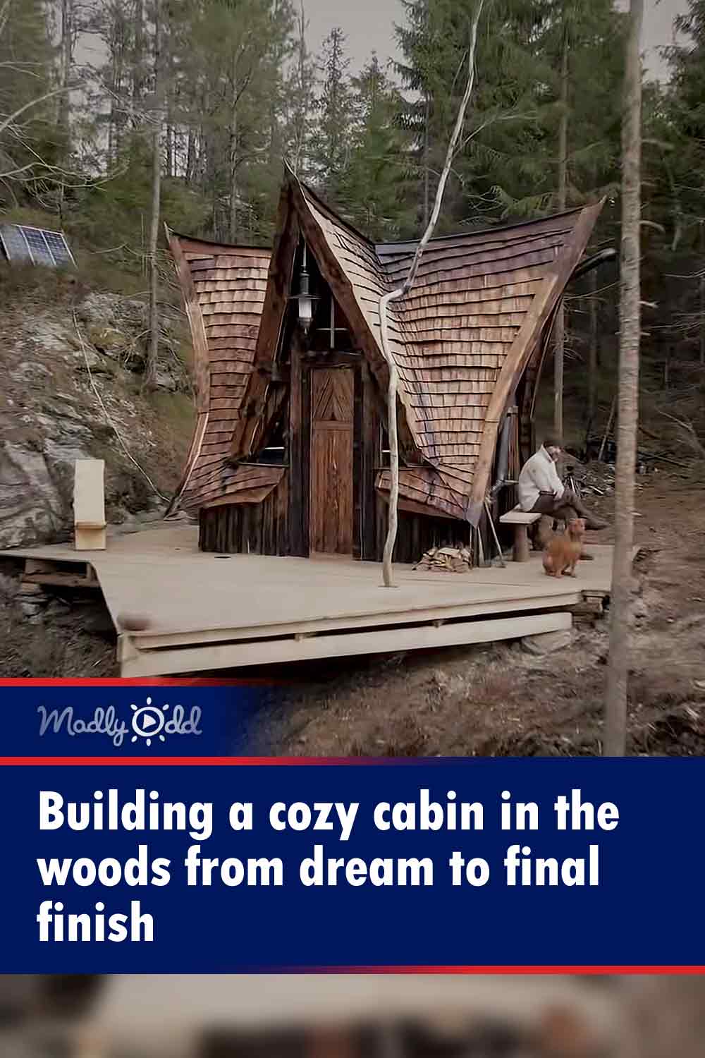 Building a cozy cabin in the woods from dream to final finish