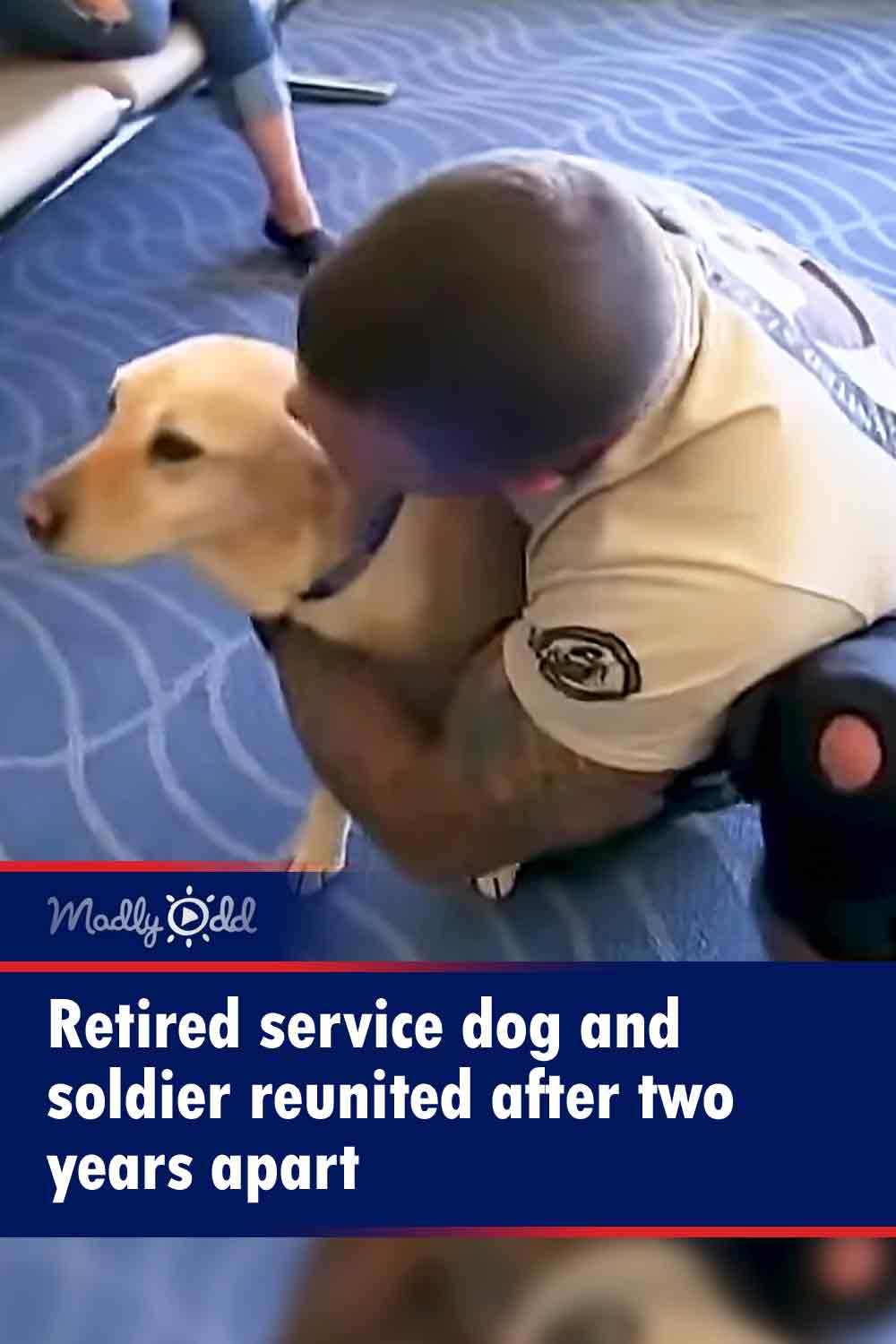 Retired service dog and soldier reunited after two years apart