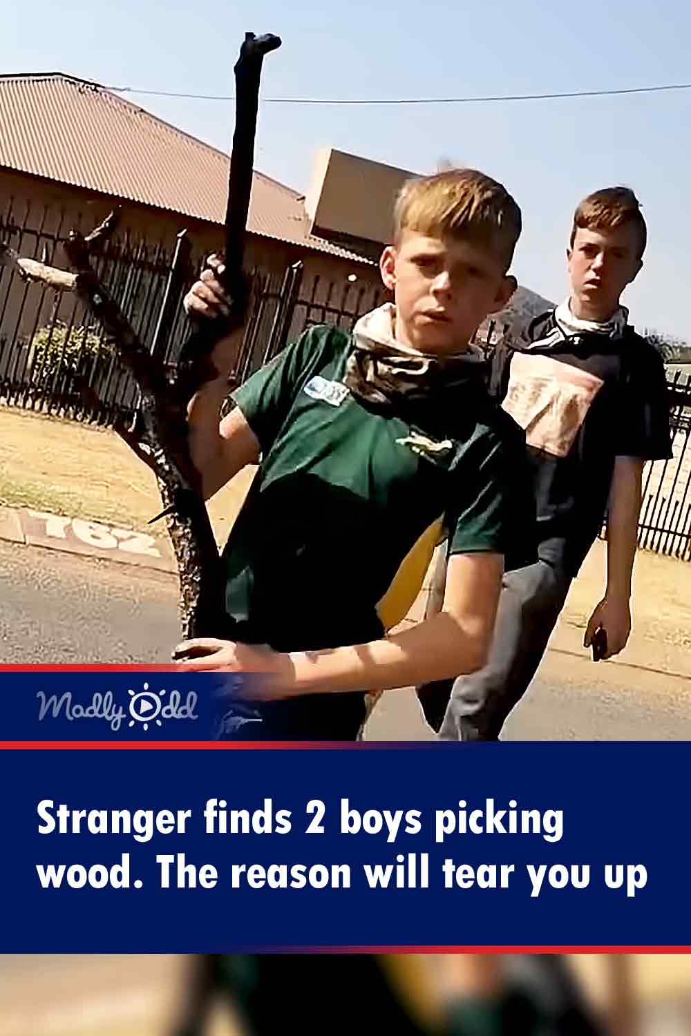 Stranger finds 2 boys picking wood. The reason will tear you up