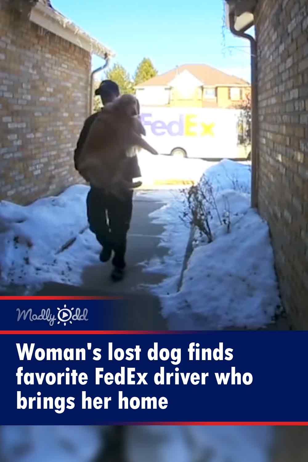 Woman\'s lost dog finds favorite FedEx driver who brings her home