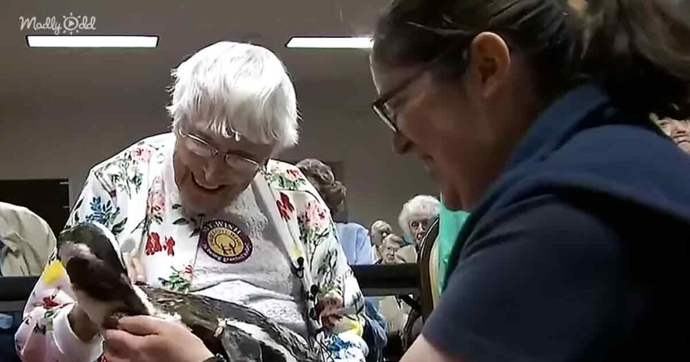 104-year-old woman meet a penguin