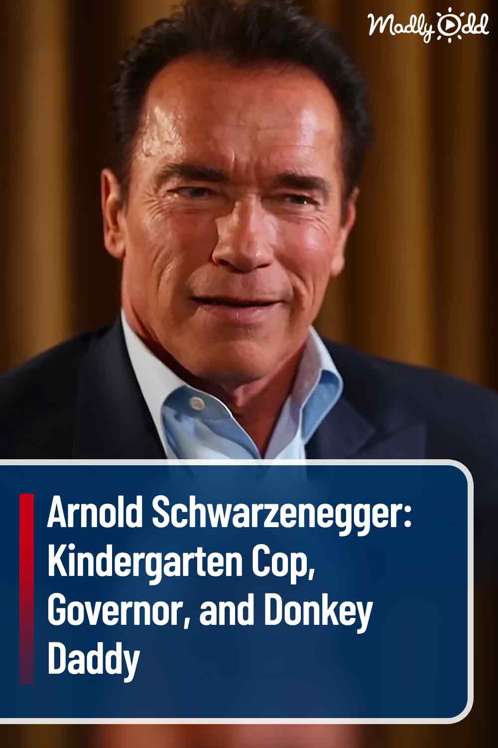Arnold Schwarzenegger: Kindergarten Cop, Governor, and Donkey Daddy