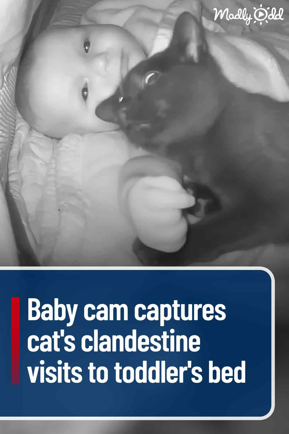 Baby cam captures cat\'s clandestine visits to toddler\'s bed