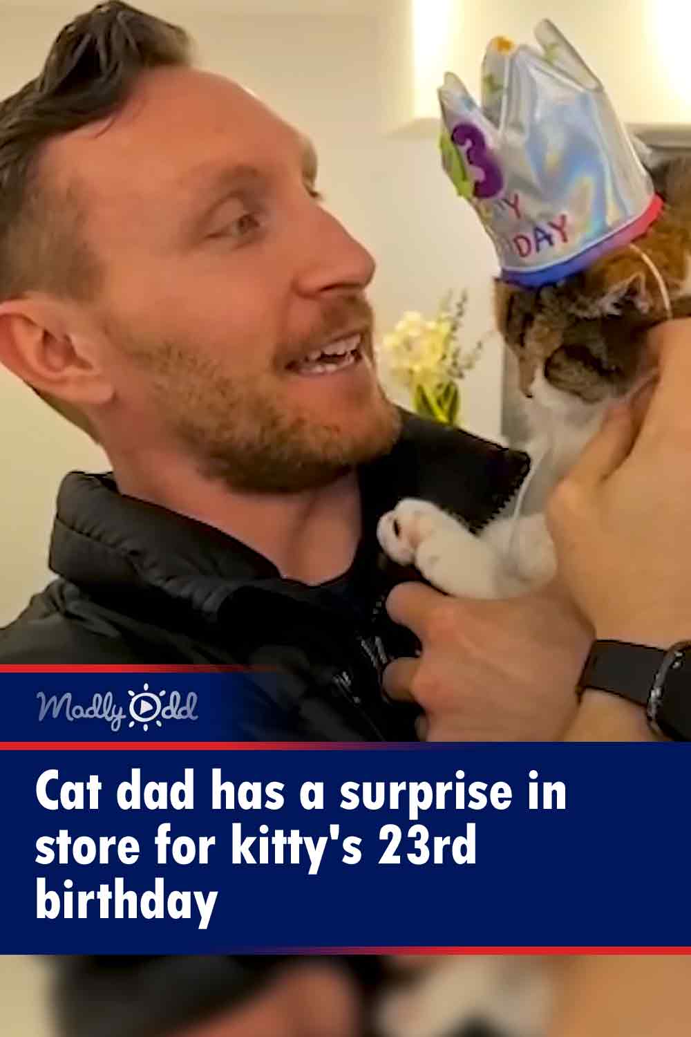 Cat dad has a surprise in store for kitty\'s 23rd birthday