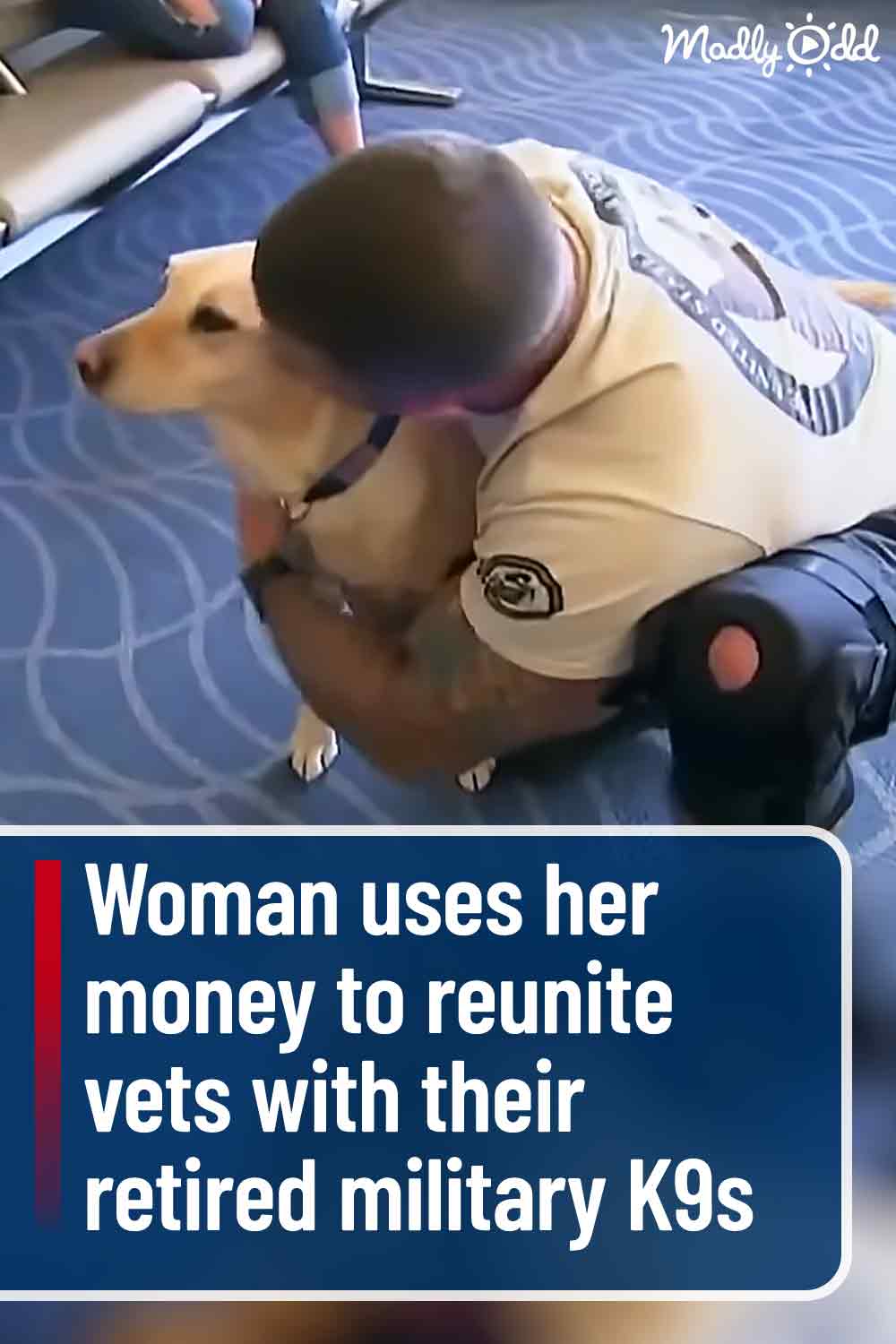 Woman uses her money to reunite vets with their retired military K9s